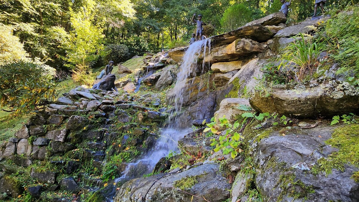 Waterfall & Koi Pond